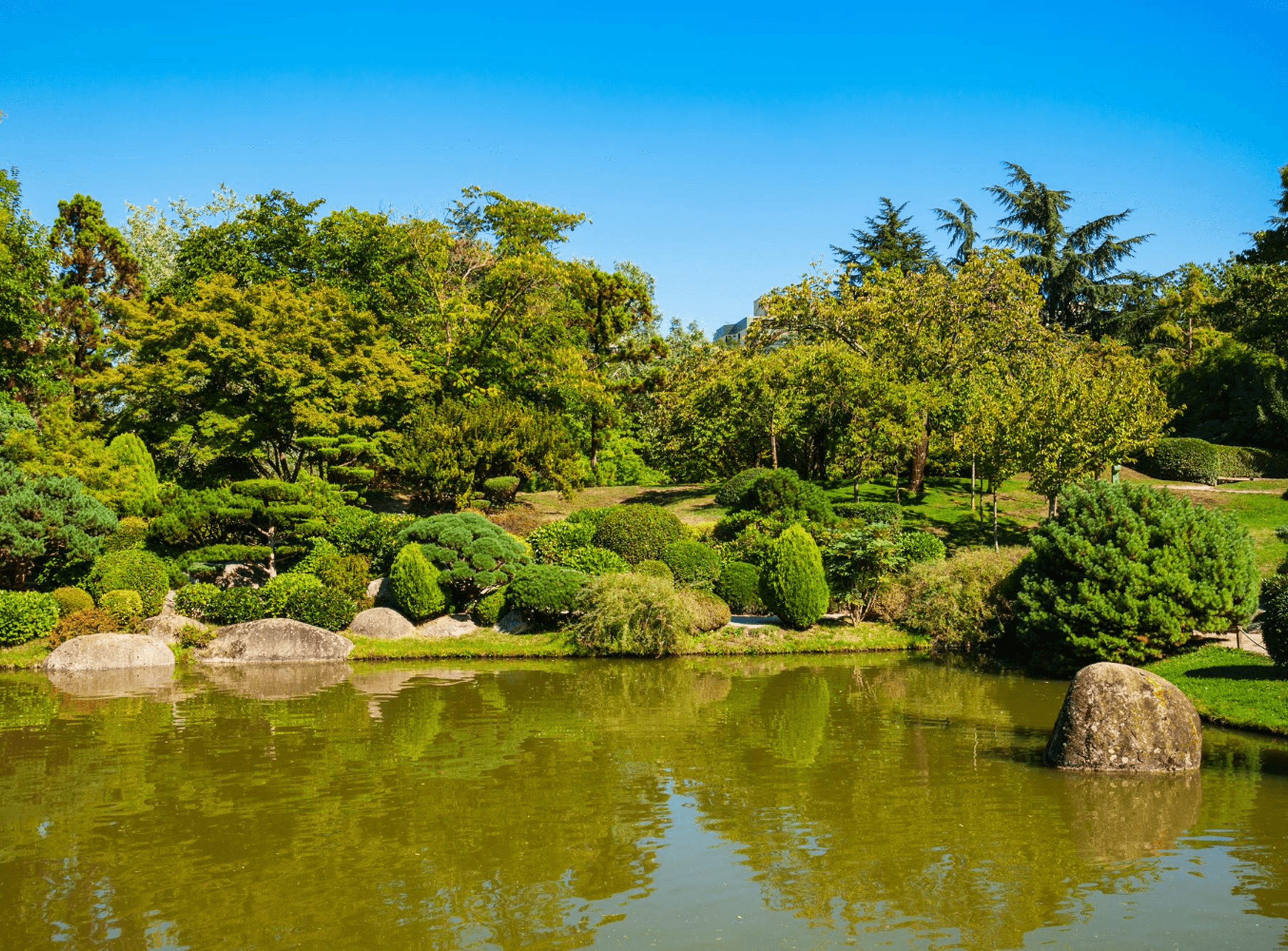 jardin paysagé